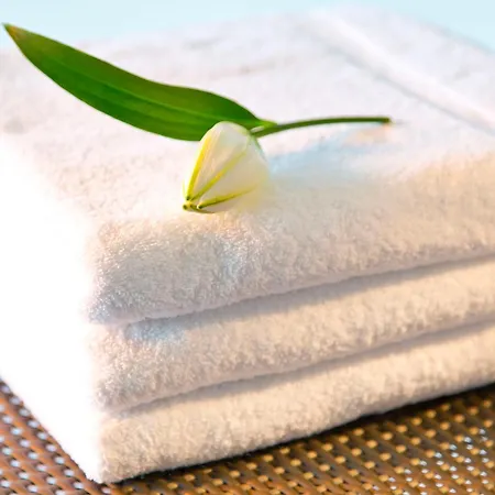 西奔兹酒店 因斯布鲁克